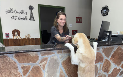 dog at the front desk