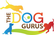 The Dog Gurus