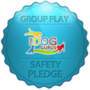 Group play safety pledge